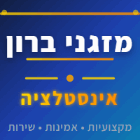 מזגני ברון